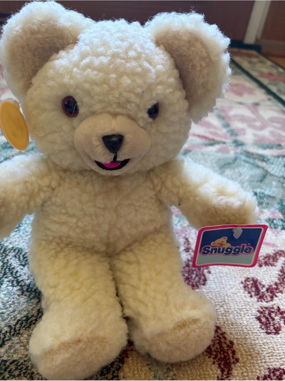 Plush Snuggle Teddy Bear